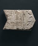 Frammento corrnice architettonica dalla facciata arnolfiana con foglie d'acanto