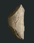 Frammento cornice architettonica semicilindrica dalla facciata arnolfiana