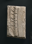 Frammento cornice architettonica dalla facciata arnolfiana con modanatura ricurva e foglie d'acanto