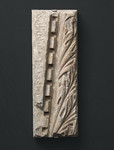 Frammento cornice architettonica dalla facciata arnolfiana del duomo con dentelli e foglie d'acanto oblique