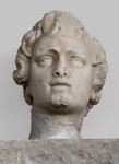 Testa di giovane