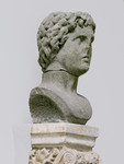 Testa virile