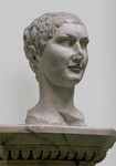 Testa virile