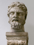 Testa virile barbuta