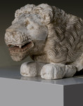 Testa di leone