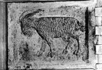 Rilievo Montone