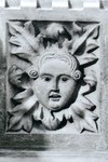 Rilievo Testa Greenman