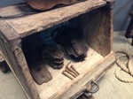 Taglia utilizzata per la costruzione della cupola brunelleschiana