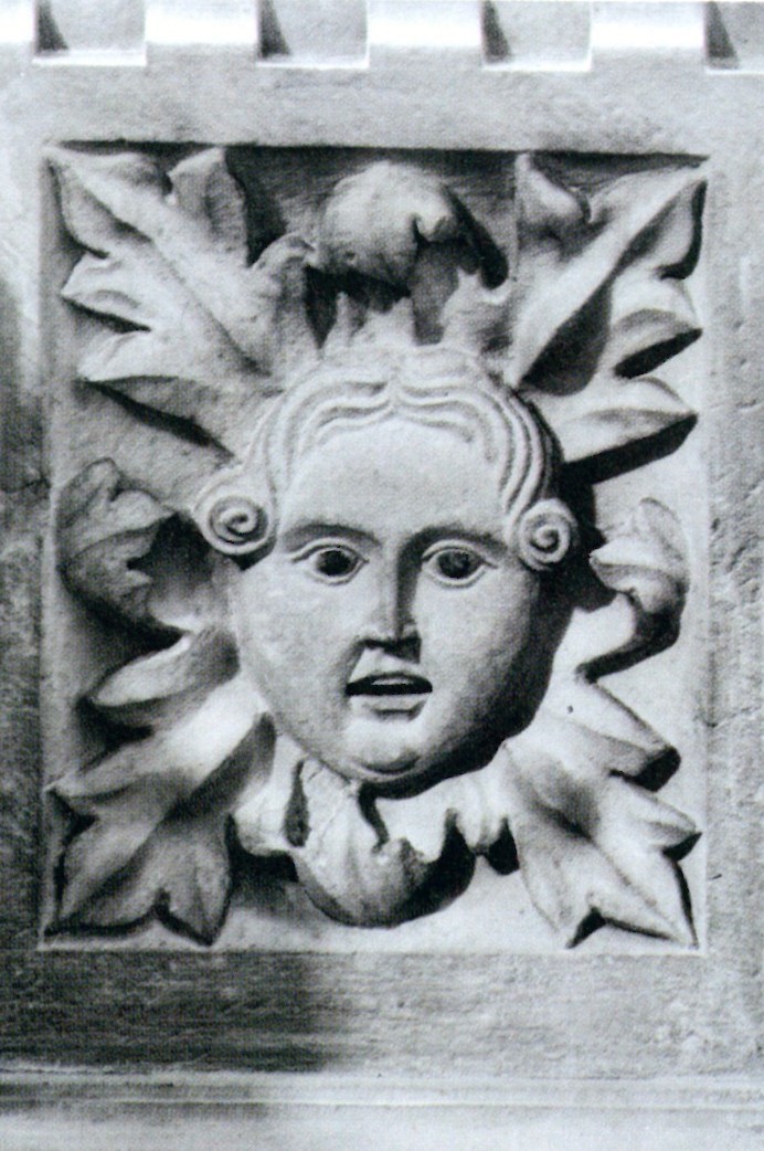 Rilievo Testa Greenman