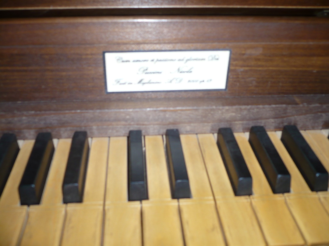 Organo Puccini - Battistero
