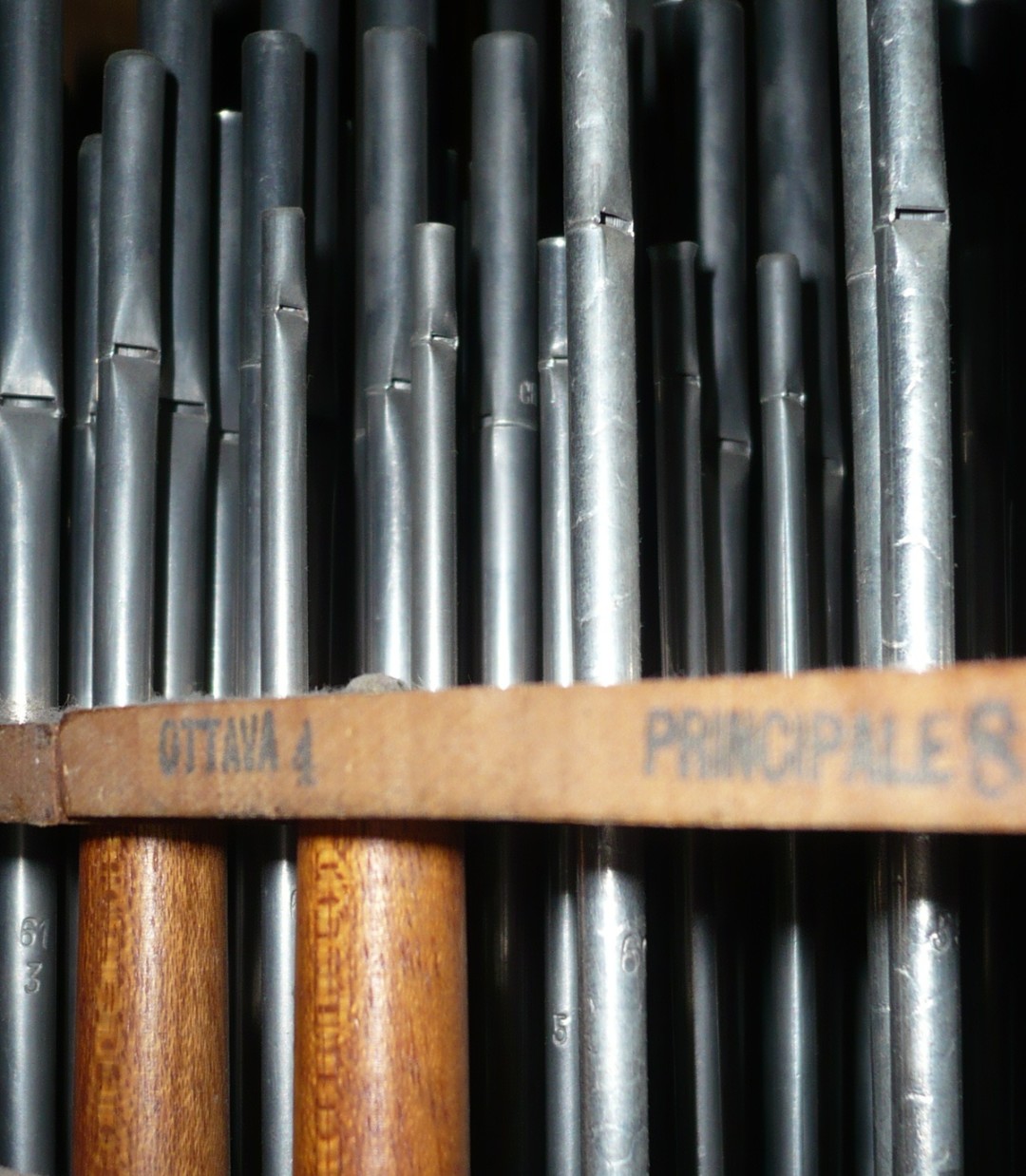Grande organo Mascioni