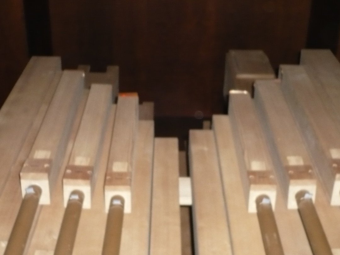 Grande organo Mascioni