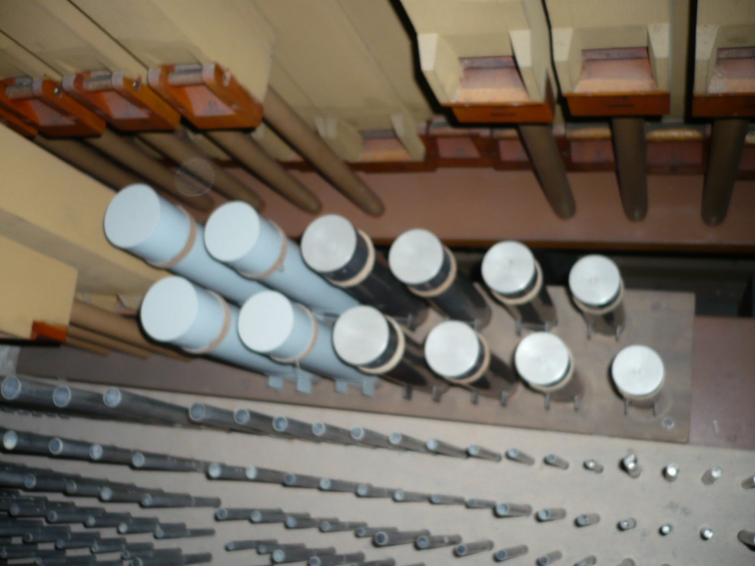 Grande organo Mascioni