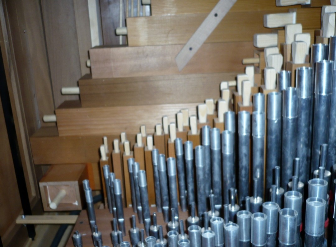 Organo Puccini - Cattedrale