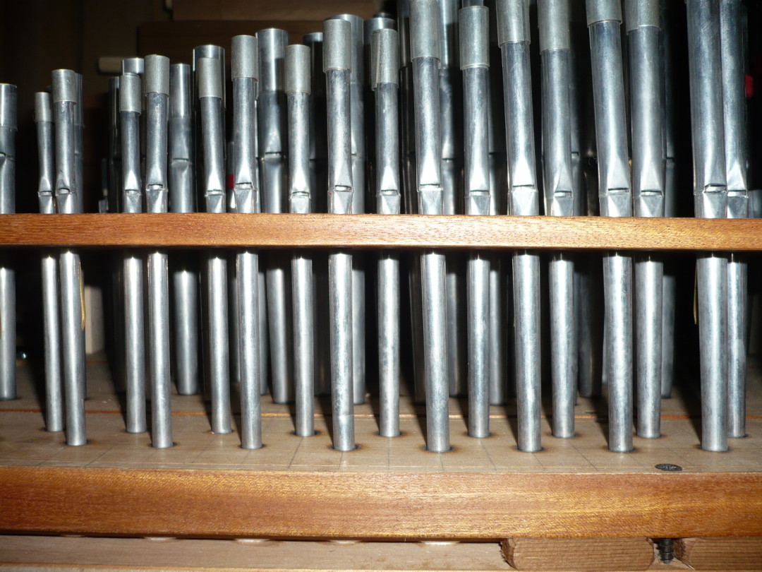 Organo Puccini - Cattedrale