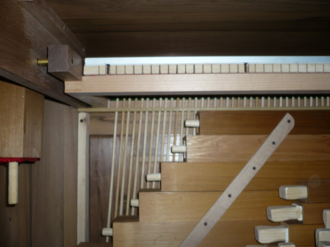 Organo Puccini - Cattedrale