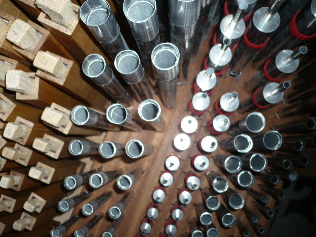 Organo Puccini - Cattedrale