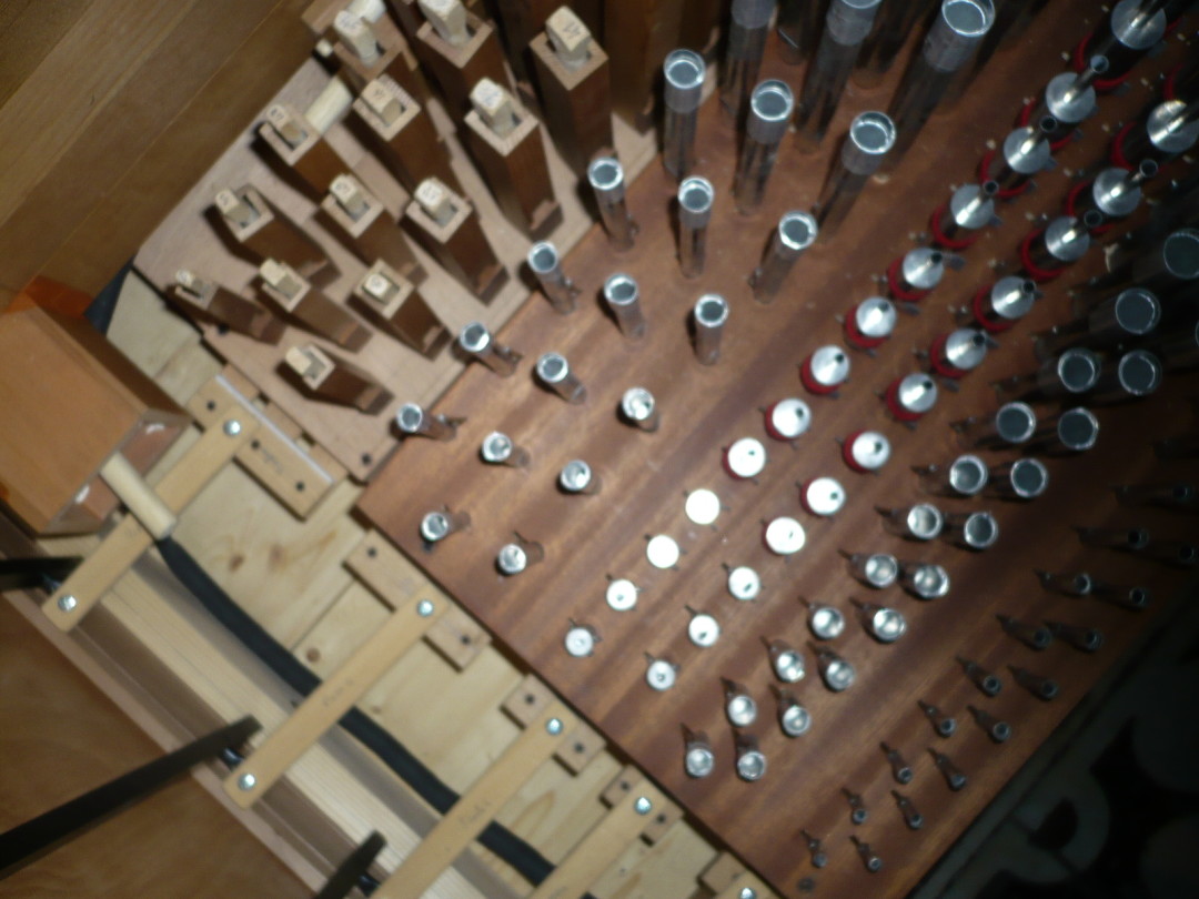 Organo Puccini - Cattedrale
