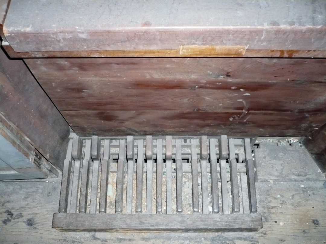 Organo del Battistero (Matroneo)