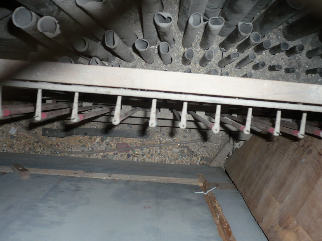 Organo del Battistero (Matroneo)