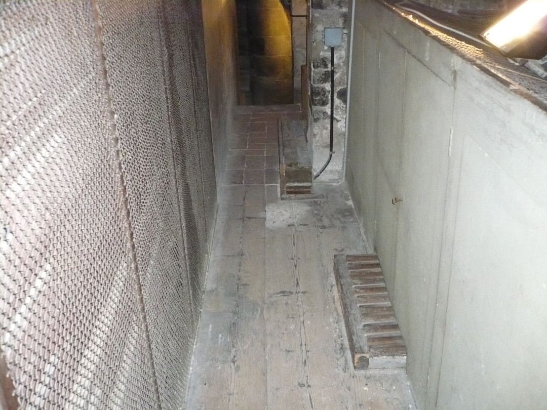 Organo del Battistero (Matroneo)