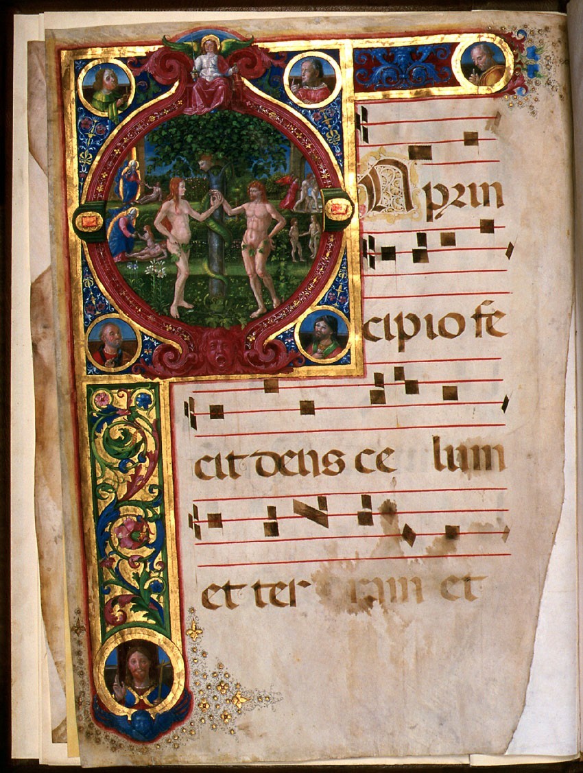 Antifonario D, n. 8