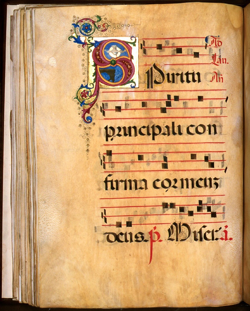 Antifonario D, n. 8