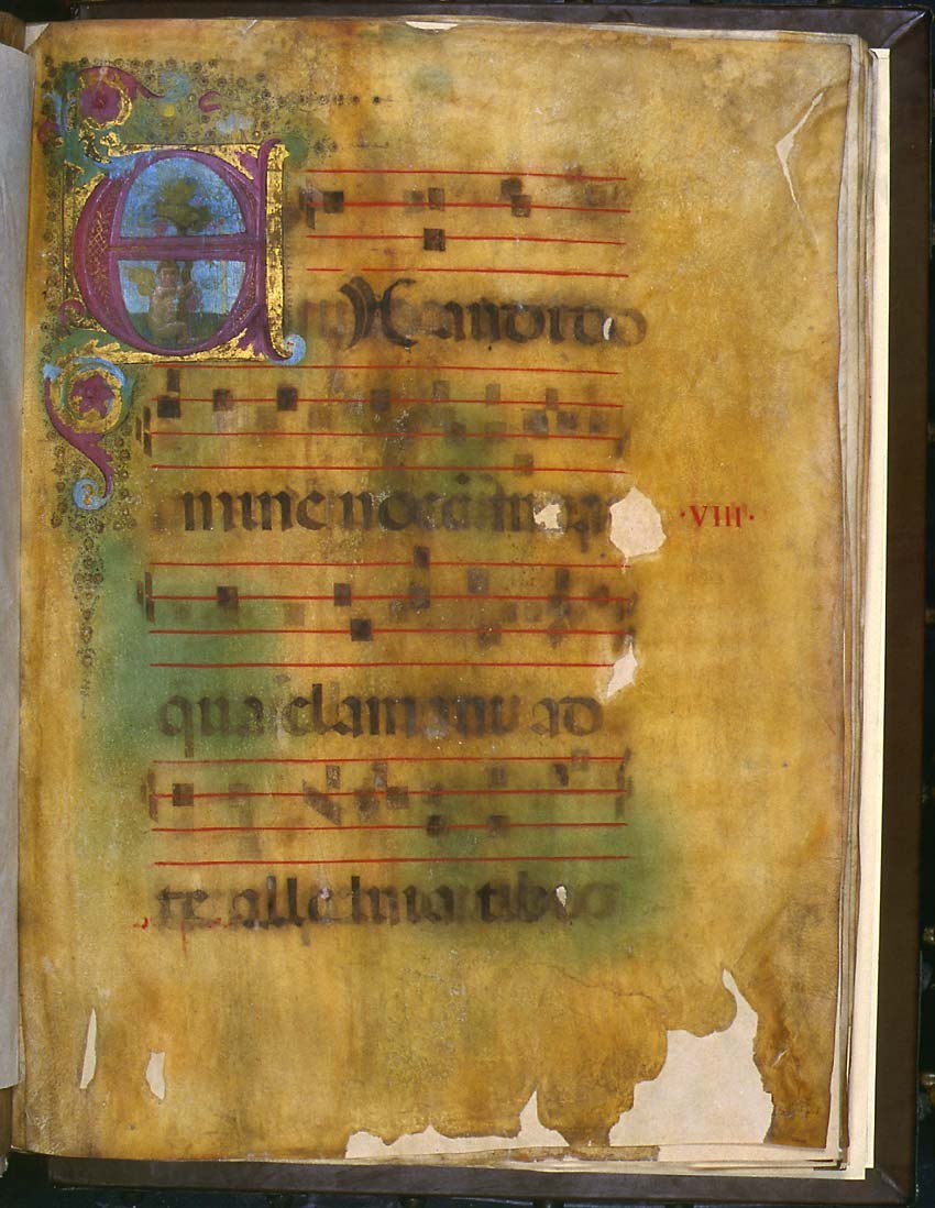 Graduale F.2, n. 12