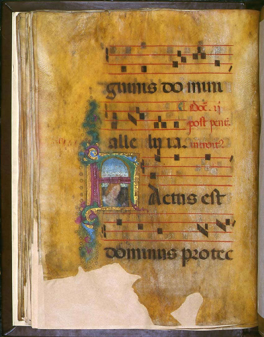 Graduale F.2, n. 12