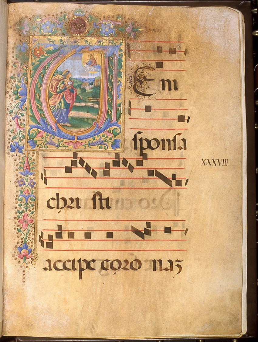 Antifonario P, n. 29